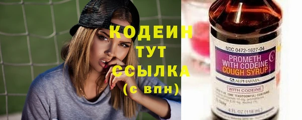 индика Лиски