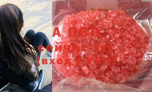индика Лиски
