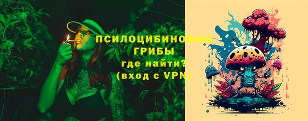 индика Лиски
