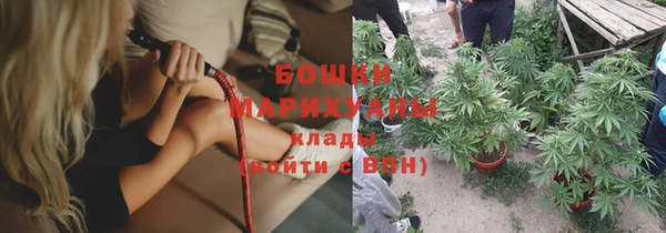 индика Лиски
