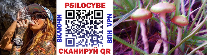 Купить закладки  Наволоки  Галлюциногенные грибы Psilocybe 