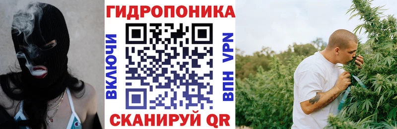 Купить  Наволоки  Шишки марихуана VHQ 